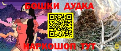 МДПВ Кингисепп