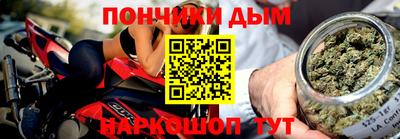 МДПВ Кингисепп