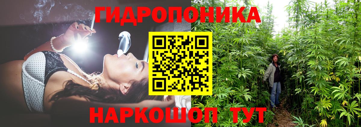 Бошки марихуана план Кстово